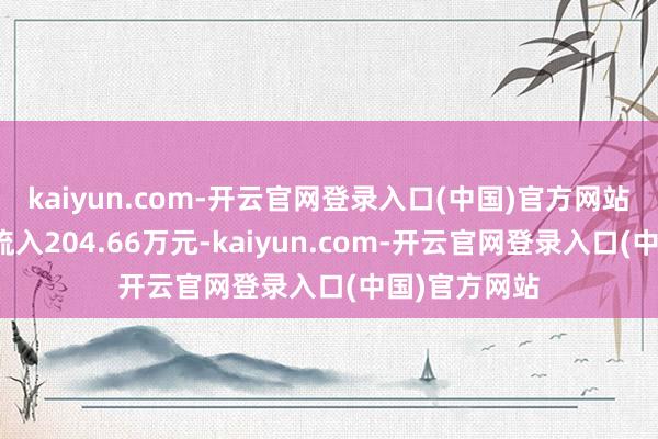 kaiyun.com-开云官网登录入口(中国)官方网站游资资金净流入204.66万元-kaiyun.com-开云官网登录入口(中国)官方网站