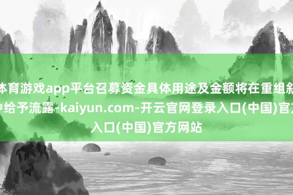 体育游戏app平台召募资金具体用途及金额将在重组叙述书中给予流露-kaiyun.com-开云官网登录入口(中国)官方网站