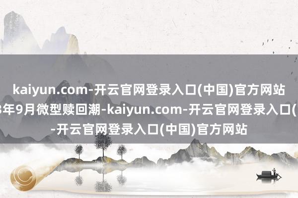 kaiyun.com-开云官网登录入口(中国)官方网站发达接近2023年9月微型赎回潮-kaiyun.com-开云官网登录入口(中国)官方网站