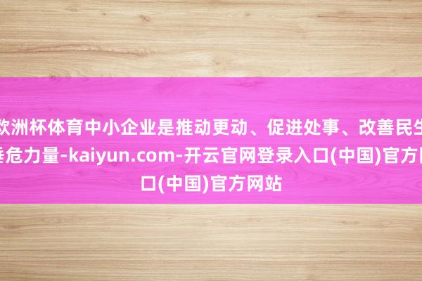 欧洲杯体育中小企业是推动更动、促进处事、改善民生的垂危力量-kaiyun.com-开云官网登录入口(中国)官方网站