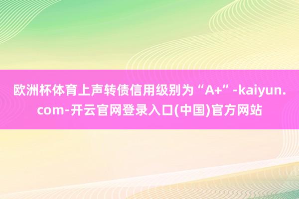 欧洲杯体育上声转债信用级别为“A+”-kaiyun.com-开云官网登录入口(中国)官方网站