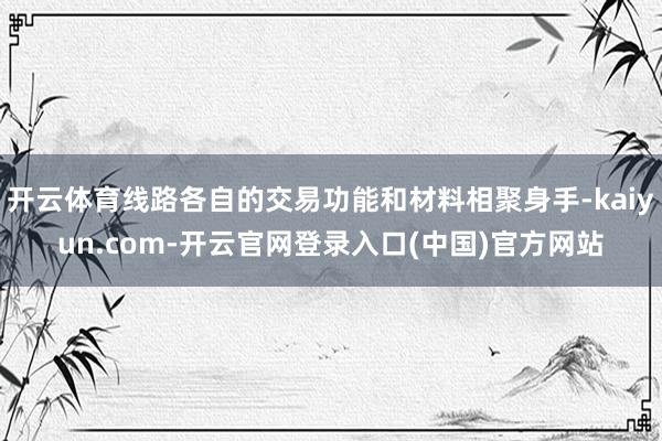 开云体育线路各自的交易功能和材料相聚身手-kaiyun.com-开云官网登录入口(中国)官方网站