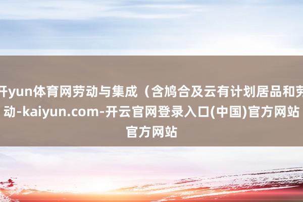 开yun体育网劳动与集成（含鸠合及云有计划居品和劳动-kaiyun.com-开云官网登录入口(中国)官方网站