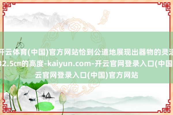 开云体育(中国)官方网站恰到公道地展现出器物的灵活与大气；32.5㎝的高度-kaiyun.com-开云官网登录入口(中国)官方网站