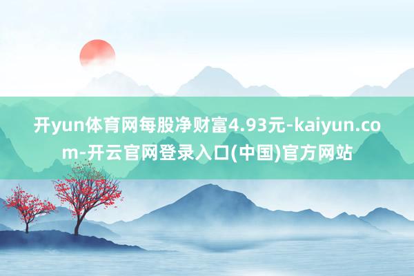 开yun体育网每股净财富4.93元-kaiyun.com-开云官网登录入口(中国)官方网站