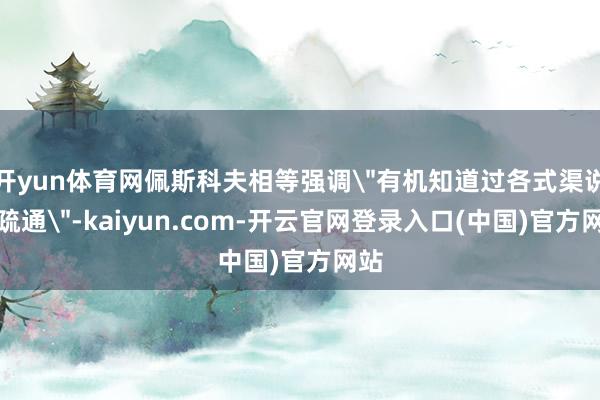 开yun体育网佩斯科夫相等强调