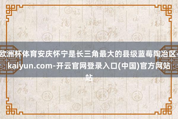 欧洲杯体育　　安庆怀宁是长三角最大的县级蓝莓陶冶区-kaiyun.com-开云官网登录入口(中国)官方网站